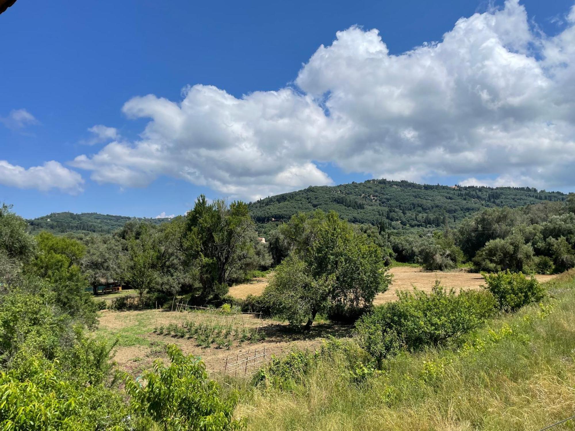 Villa Katerina Agios Georgios Pagon Rom bilde